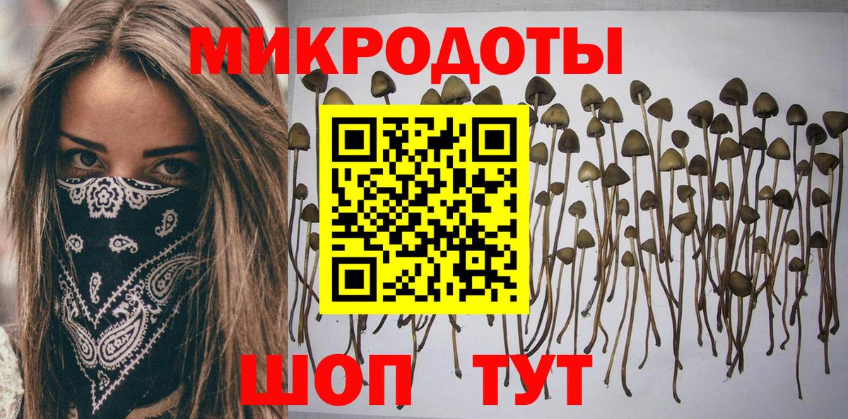 Псилоцибиновые грибы мицелий Нефтеюганск