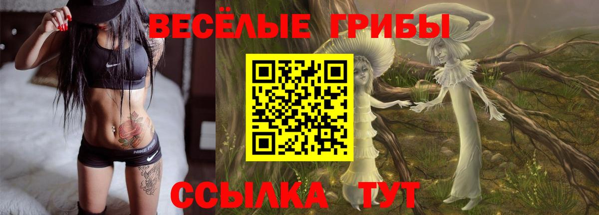 Псилоцибиновые грибы Psilocybine cubensis  Вход с VPN  Нефтеюганск 